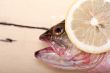 fresh whole raw fish