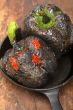 charcol scorched fresh bell peppers