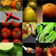 Organic Vegetarian Vegan food collage  dark 