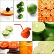 citrus fruits collage