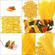 various type of Italian pasta collage