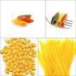 various type of Italian pasta collage