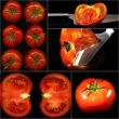 tomatoes collage