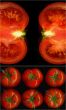 tomatoes collage