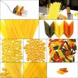 various type of Italian pasta collage