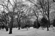 Central Park covered with snow