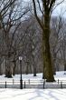 Lamppost in the Snow