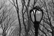 Lamppost in Central Park