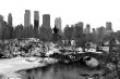 Gapstow bridge and upper west side in black and white