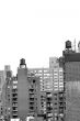 Water towers in black and white