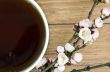 tea with apricot flowers and branches on table, top view