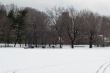 Baseball in Central Park