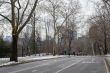 Fitness in Central Park