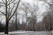 Exercise in Central Park in winter