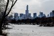 Midtown in winter from Central Park