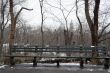 Bench in Central park