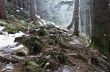 winter calm mountain landscape