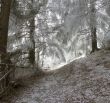 winter calm mountain landscape