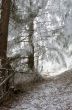 winter calm mountain landscape