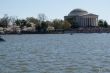 Thomas Jefferson Memorial by the flowers