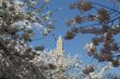 A pickto the Washington Memorial