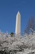 Hight of the Washington Memorial