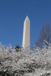 Hight of the Washington Memorial