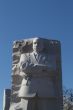 Martin Luther king during the cherry blossom festival