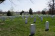 Arlington Cemetery 