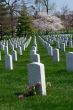 Arlington Cemetery tumb