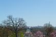 DC from Arlington Cemetery 