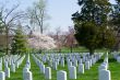 Gravestones at the Arlington Cemetery 