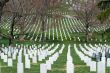 White gravestones