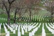 Lines of tombstones