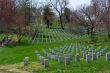 Soldiers` tombs