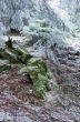 winter calm mountain landscape