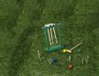 Croquet Set on the Lawn