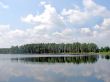 Forest Reflections