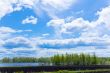 Summer landscape with sky and forest