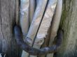 Bundle of Sticks Secured with Iron Clamp