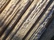 Close Up of Weather Wood Texture