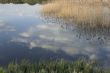 Bathing the clouds on the water surface o the pond