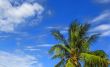 Jellyfish cloud on the blue sky