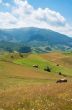 Landscape in the Ukrainian Carpathians