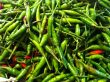 Green Chilis