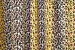 Leopard Texture Background