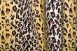 Leopard Texture Background