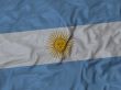 Argentina flag