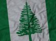 Close up of Ruffled Norfolk Island flag