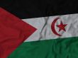 Close up of Ruffled Sahrawi Arab Democratic Republic flag